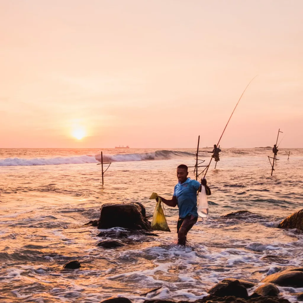 Discover Amazing Sri Lanka