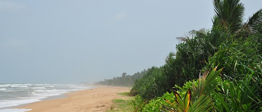 Bentota coast