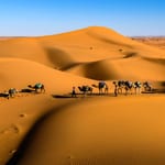 Travel