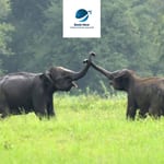 Why choose Sri Lanka and not another destination?