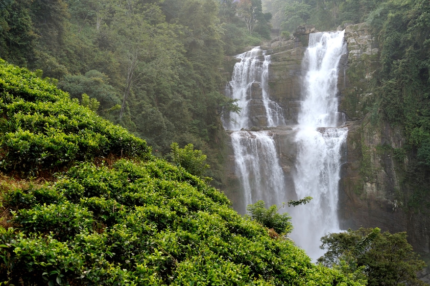 Sri Lanka, an exceptional land