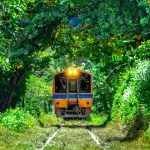 Srilanka